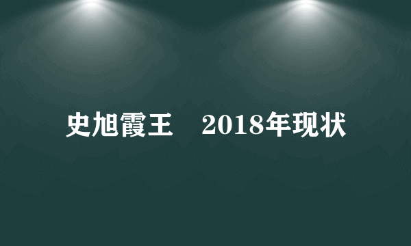 史旭霞王翀2018年现状