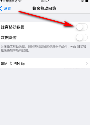 苹果的数据流量开关在那里