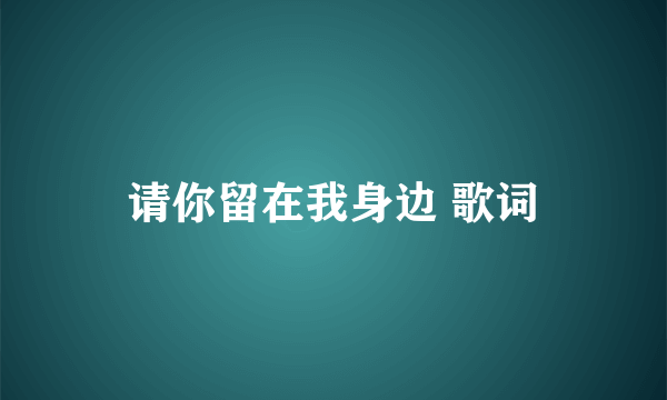 请你留在我身边 歌词