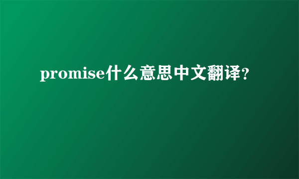 promise什么意思中文翻译？