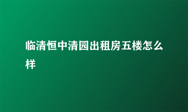 临清恒中清园出租房五楼怎么样