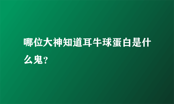 哪位大神知道耳牛球蛋白是什么鬼？