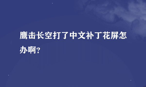 鹰击长空打了中文补丁花屏怎办啊？