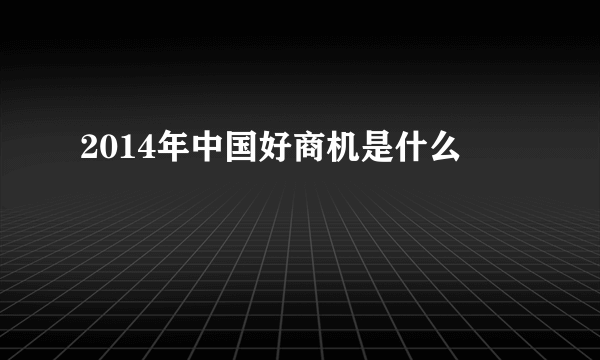 2014年中国好商机是什么