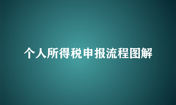 个人所得税申报流程图解