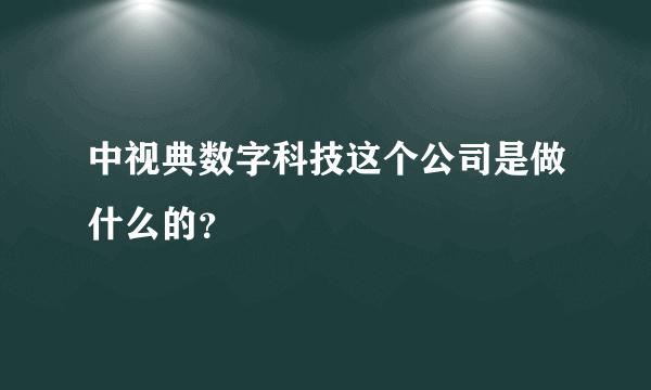 中视典数字科技这个公司是做什么的？