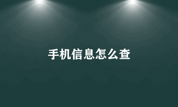 手机信息怎么查