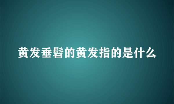 黄发垂髫的黄发指的是什么