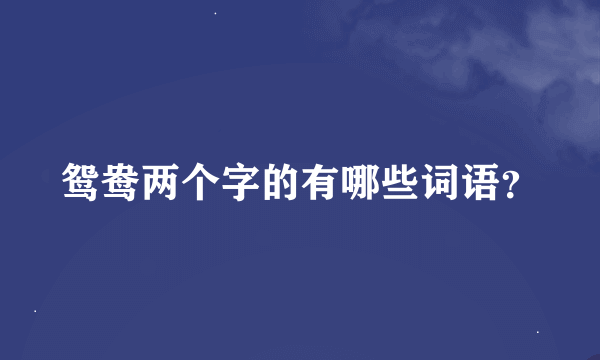 鸳鸯两个字的有哪些词语？