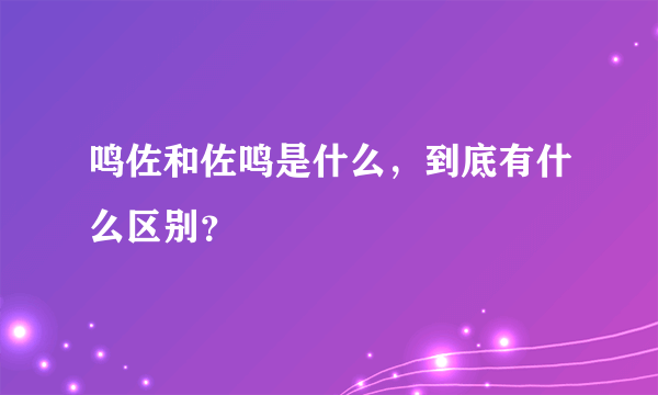 鸣佐和佐鸣是什么，到底有什么区别？