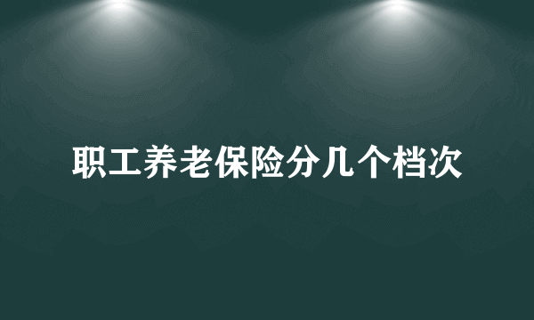 职工养老保险分几个档次