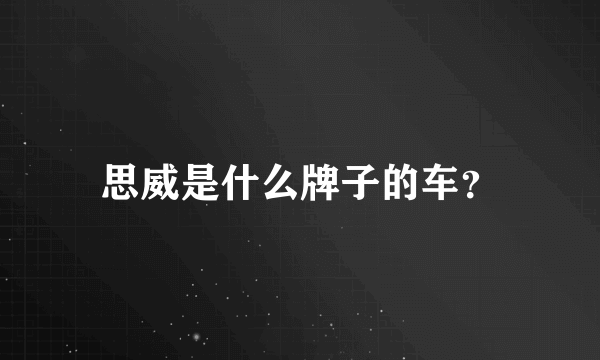 思威是什么牌子的车？