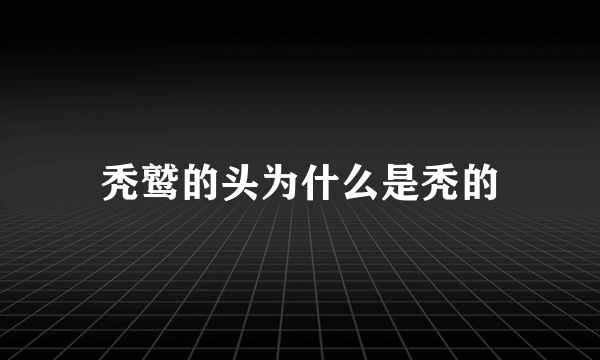 秃鹫的头为什么是秃的