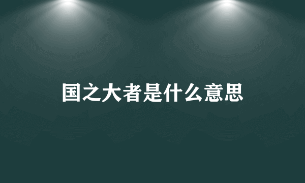 国之大者是什么意思