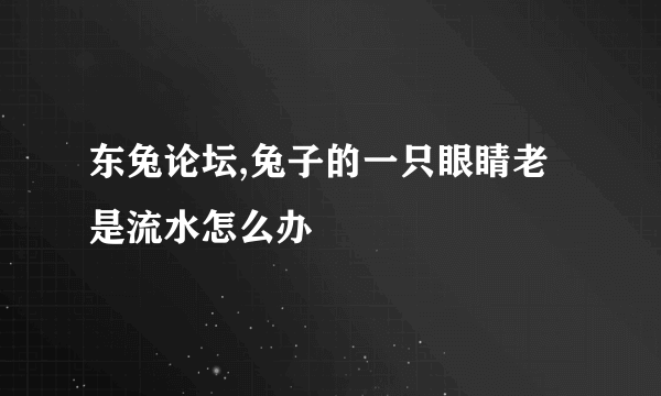 东兔论坛,兔子的一只眼睛老是流水怎么办