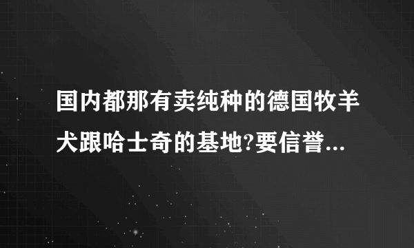 国内都那有卖纯种的德国牧羊犬跟哈士奇的基地?要信誉好,正规的