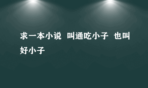 求一本小说  叫通吃小子  也叫好小子