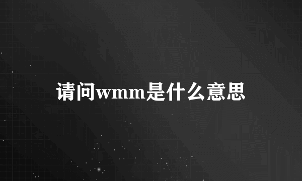 请问wmm是什么意思