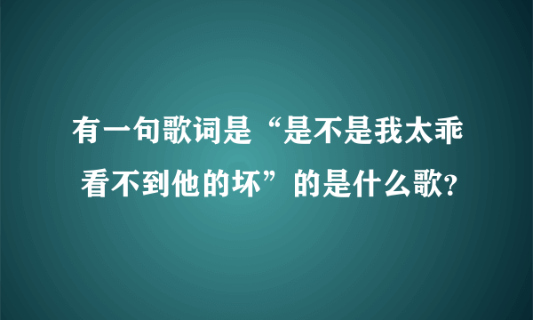 有一句歌词是“是不是我太乖 看不到他的坏”的是什么歌？