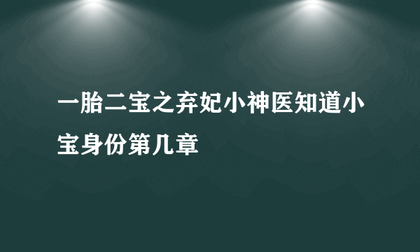 一胎二宝之弃妃小神医知道小宝身份第几章