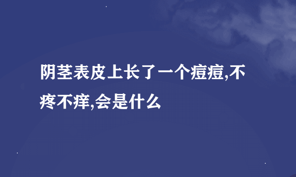 阴茎表皮上长了一个痘痘,不疼不痒,会是什么