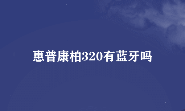 惠普康柏320有蓝牙吗