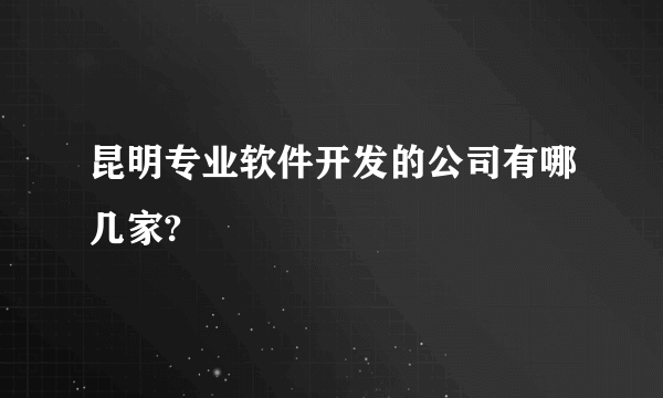 昆明专业软件开发的公司有哪几家?