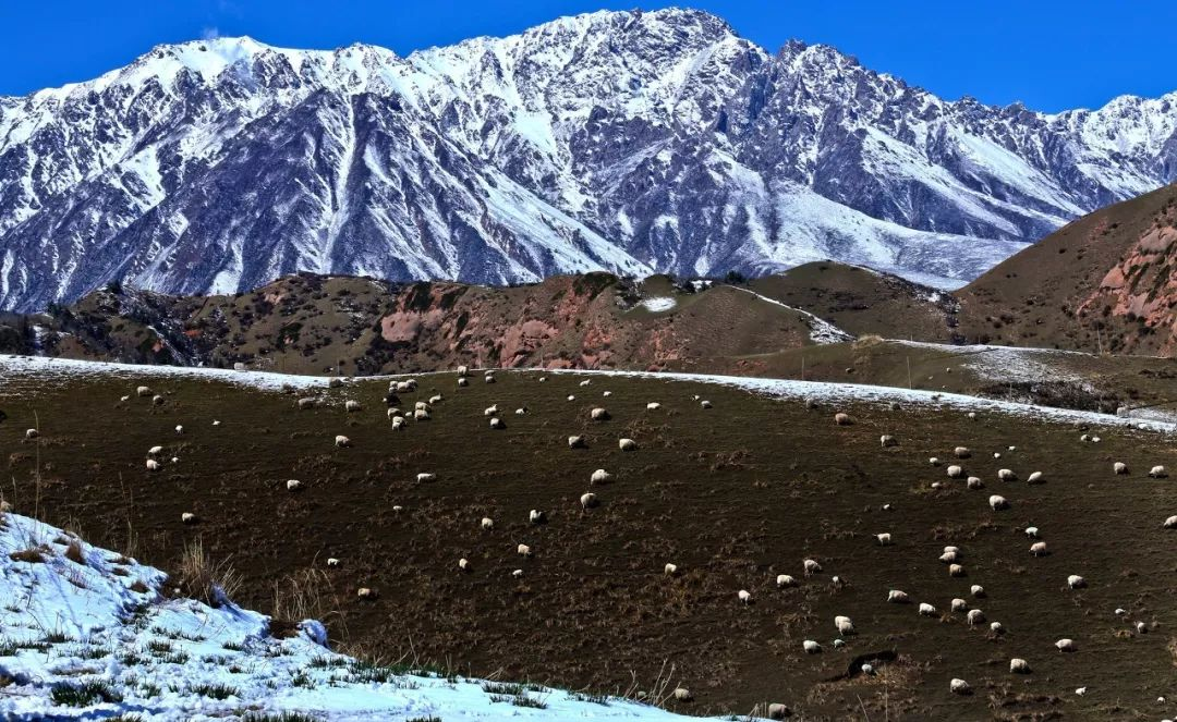 如何看待国庆假期祁连山突降大雪的景象呢？