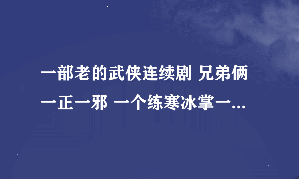 一部老的武侠连续剧 兄弟俩一正一邪 一个练寒冰掌一个连烈火掌练功地点苛刻最后兄弟俩互拼