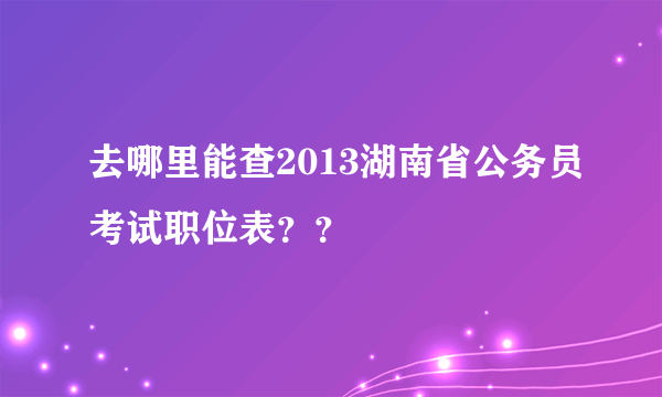 去哪里能查2013湖南省公务员考试职位表？？