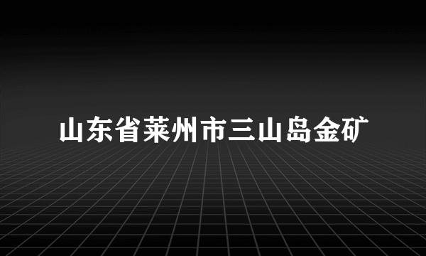 山东省莱州市三山岛金矿