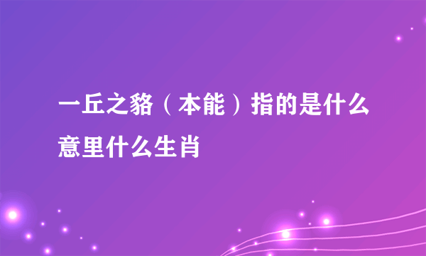 一丘之貉（本能）指的是什么意里什么生肖