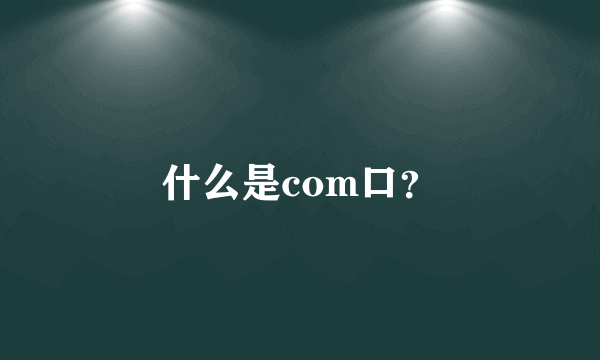 什么是com口？