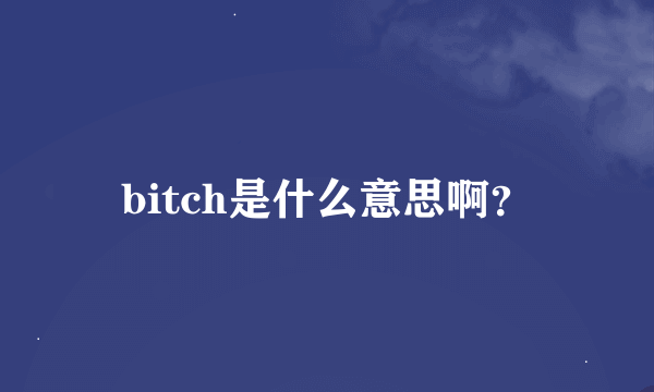 bitch是什么意思啊？