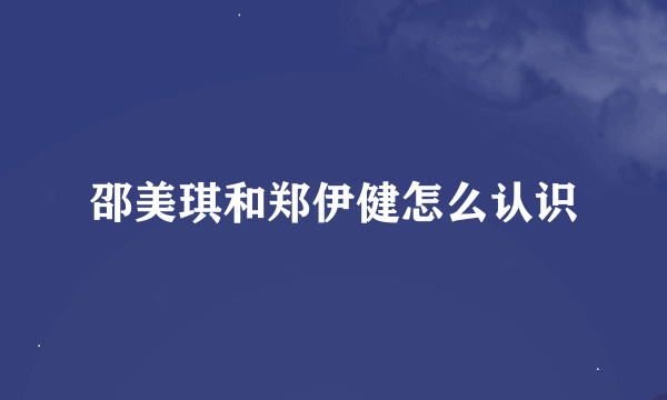 邵美琪和郑伊健怎么认识