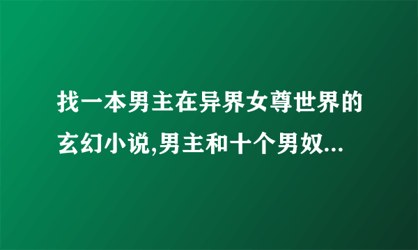 找一本男主在异界女尊世界的玄幻小说,男主和十个男奴在岛上被一个女人抓了给她妹妹治病，有机甲和重力室