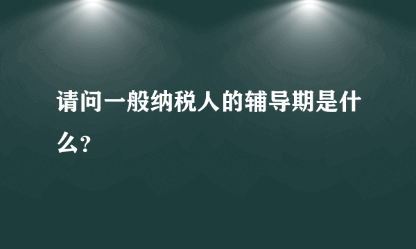 请问一般纳税人的辅导期是什么？