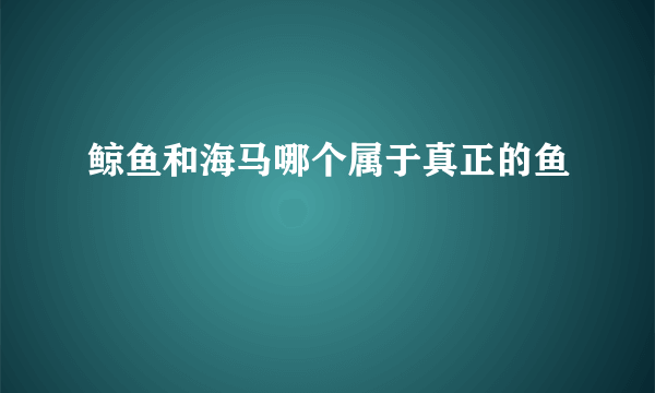 鲸鱼和海马哪个属于真正的鱼