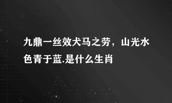 九鼎一丝效犬马之劳，山光水色青于蓝.是什么生肖