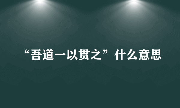 “吾道一以贯之”什么意思