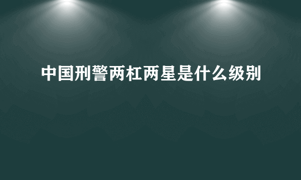 中国刑警两杠两星是什么级别