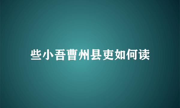 些小吾曹州县吏如何读