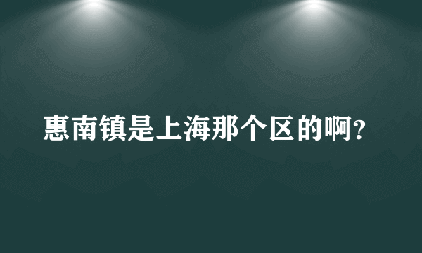 惠南镇是上海那个区的啊？