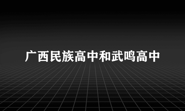 广西民族高中和武鸣高中