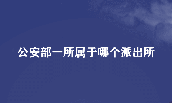 公安部一所属于哪个派出所