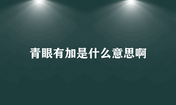 青眼有加是什么意思啊