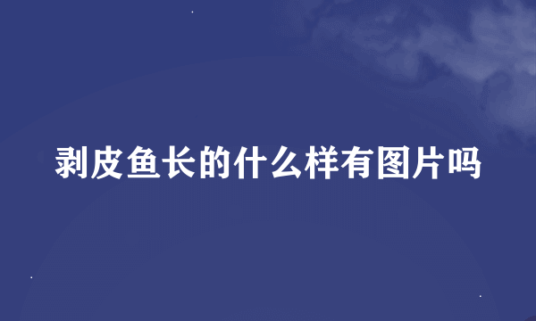 剥皮鱼长的什么样有图片吗