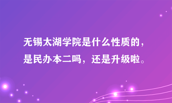 无锡太湖学院是什么性质的，是民办本二吗，还是升级啦。