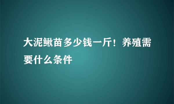 大泥鳅苗多少钱一斤！养殖需要什么条件