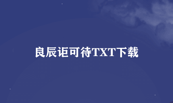 良辰讵可待TXT下载